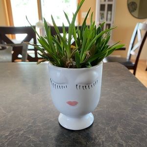 Small Face Pot for Succulent or Small Plant